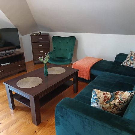 Apartament Sosnowa Apartment Krasnobrod Ngoại thất bức ảnh